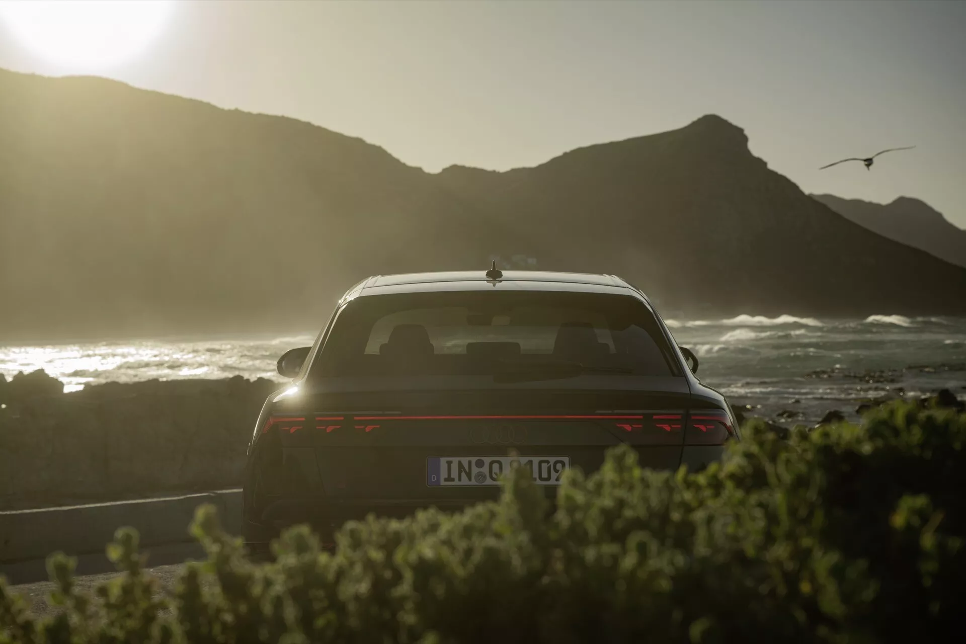 Zadný pohľad na Audi Q8 2023 (4M-Facelift) s dôrazom na veko batožinového priestoru, zadné okno, časť strechy so siluetou pri západe slnka, pobrežným pozadím s čajkou, spoilera, osvetlenými horizontálnymi zadnými svetlami, potenciálnou cúvacou kamerou a anténou v tvare žraločej plutvy
