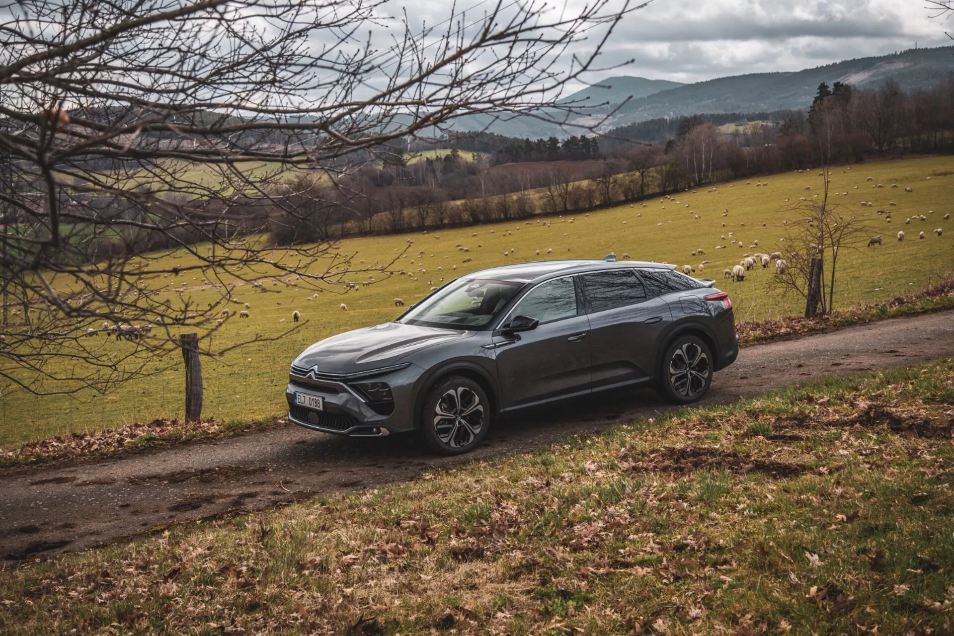 Citroën C5-X z roku 2022 zaparkovaný šikmo na vidieckej krajine s trávnatým poľom a stromami, ukazuje jeho zdvihnutý crossover dizajn, ostré línie karosérie, tmavú farbu, zliatinové kolesá a LED svetlomety