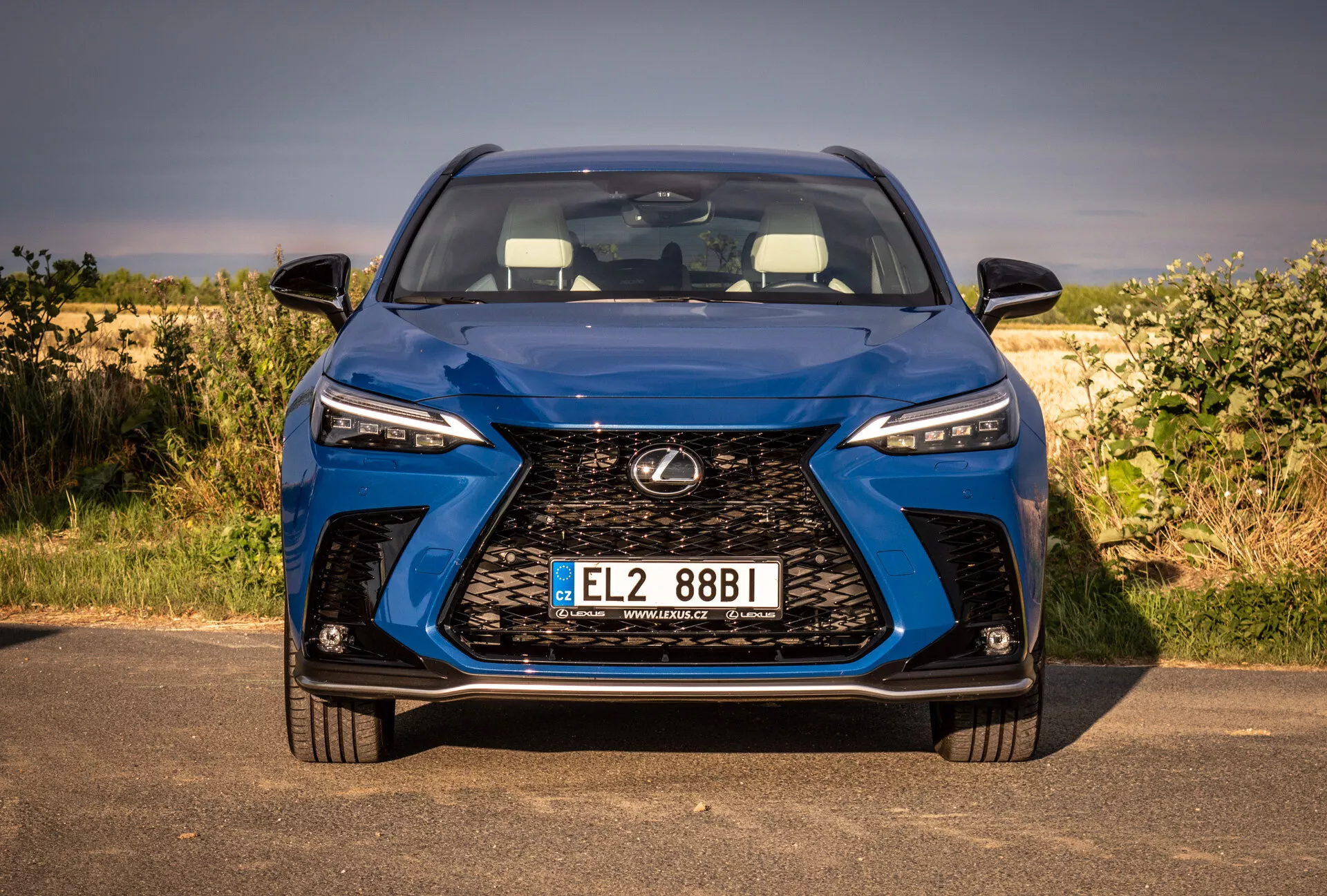 Pohľad zblízka na prednú časť Lexus NX 2021 ukazuje veľkú mriežku, LED svetlomety a evidenčnú značku so zameraním na dizajn a technológiu v prírodnom prostredí.
