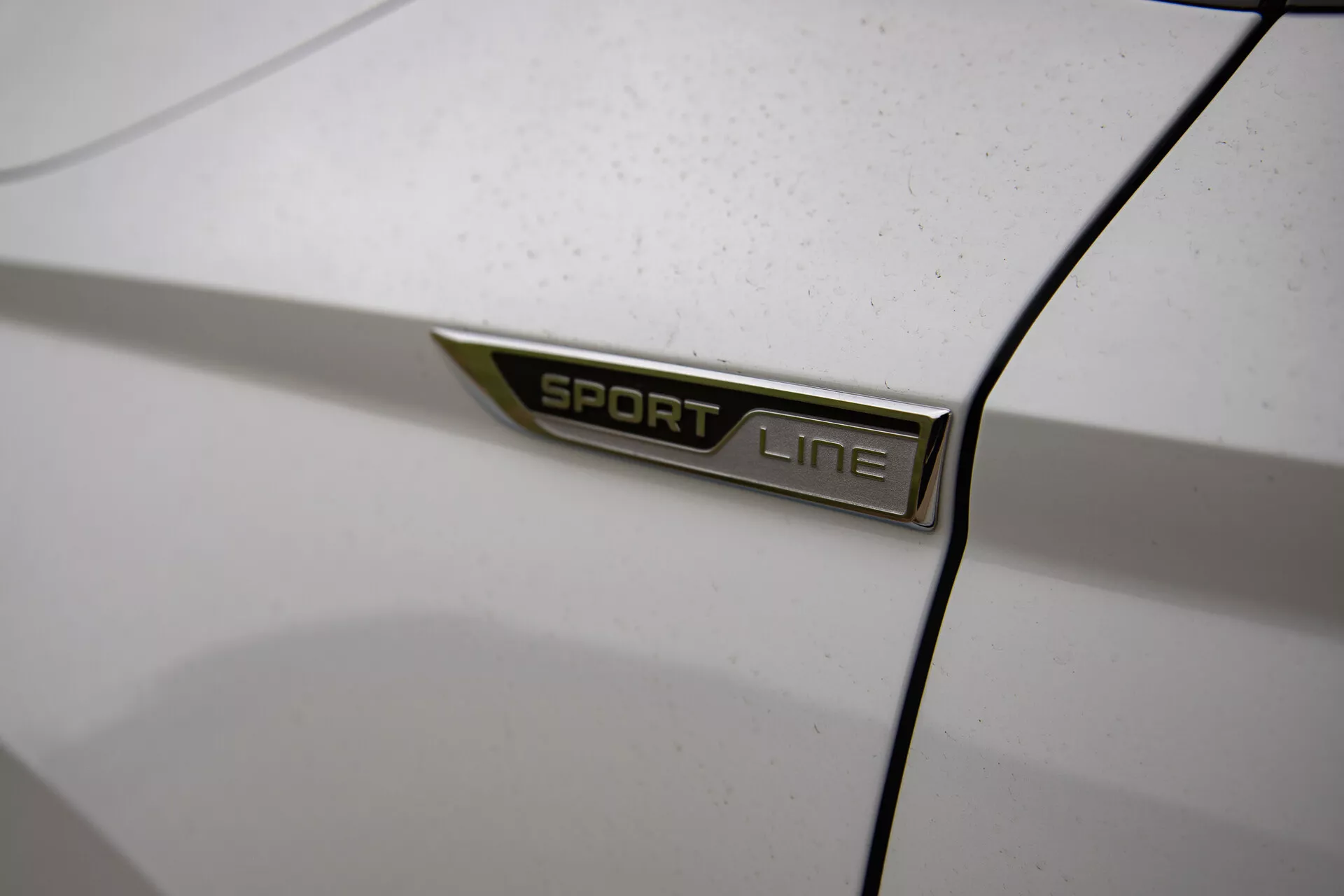 Detailný pohľad na odznak SPORT LINE Škoda Karoq 2021 v tučnom bezpatkovom písme striebornej farby so zeleným akcentom na karosérii auta, zobrazený pod šikmým uhlom s malou hĺbkou ostrosti na bielom, mierne zaprášenom pozadí, zdôrazňujúci podrobnosti variantu modelu auta.