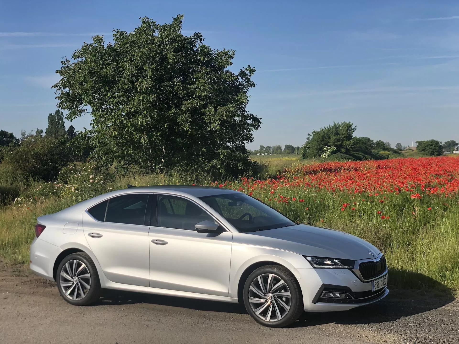 Obrázok strieborného sedanu Škoda Octavia 2020, zaparkovaného diagonálne na ceste z boku a spredu, s moderným dizajnom, aerodynamickými líniami, výraznou maskou chladiča, LED svetlometmi, dennými svetlami, viaclúčovými zliatinovými kolesami, strešným oknom, zrkadlami vo farbe karosérie s integrovanými smerovkami a chrómovanými ozdobnými prvkami. V pozadí je vidieť zelená krajina s červenými makmi a jasná modrá obloha, čo naznačuje vidiecke prostredie v slnečný deň.
