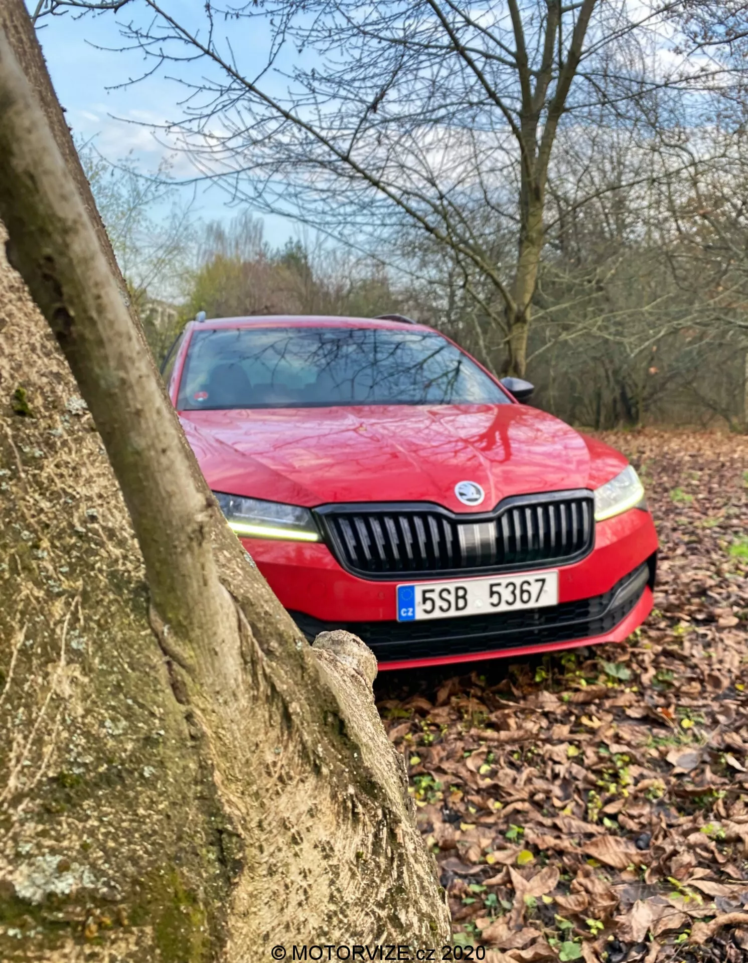 Červená Škoda Superb 2019 čiastočne zakrytá kmeňom stromu, zobrazená z nízkeho šikmého uhla zvýrazňujúceho prednú časť s mriežkou, svetlometmi a poznávacou značkou v exteriéri; tlmené farby naznačujú zamračené počasie a pravdepodobne nedávny dážď